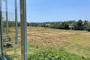 Vista dalla finestra su un campo con edifici in lontananza.