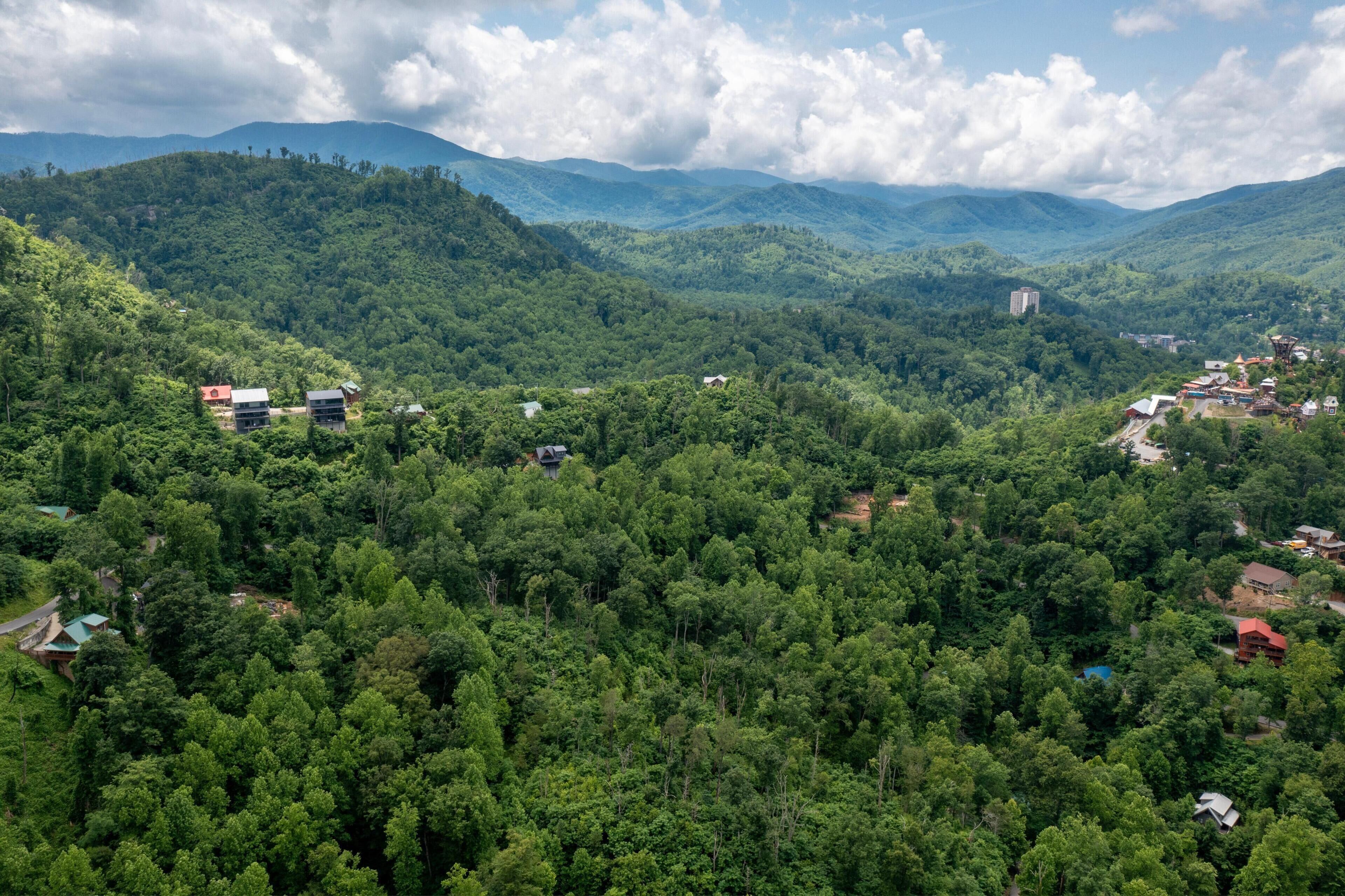 A mountainous landscape with scattered buildings amidst dense forest.