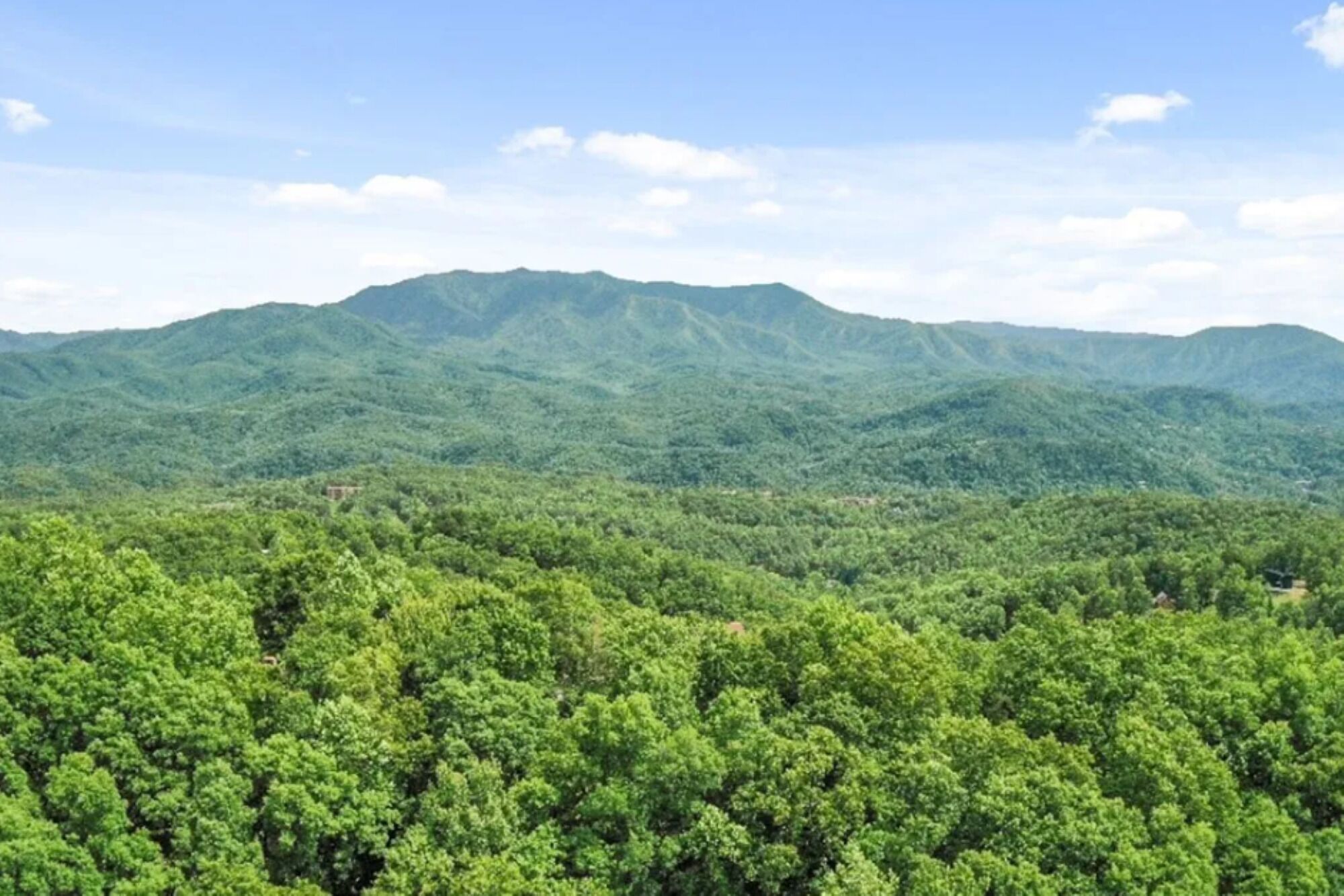 Eine gebirgige Landschaft mit dichtem Wald.