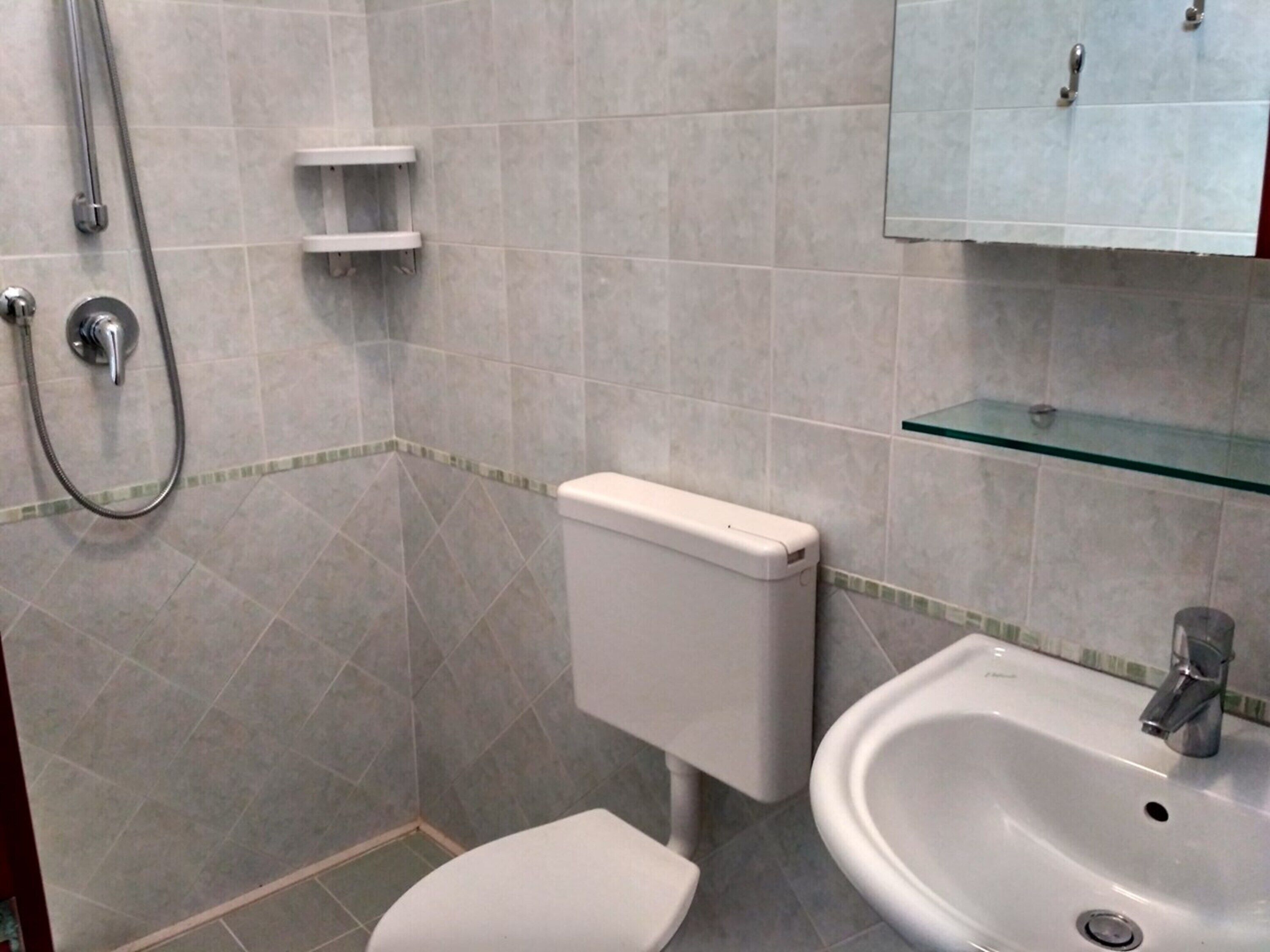 A bathroom with a toilet, a sink, and a shower.