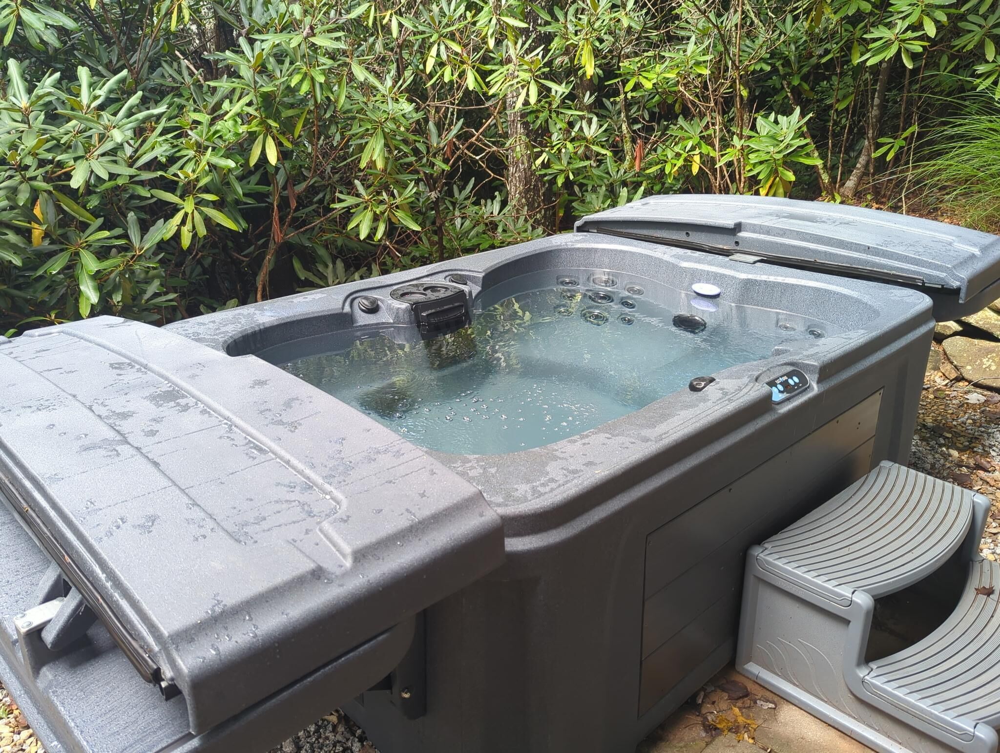 Un jacuzzi con panel de control, rodeado de follaje.