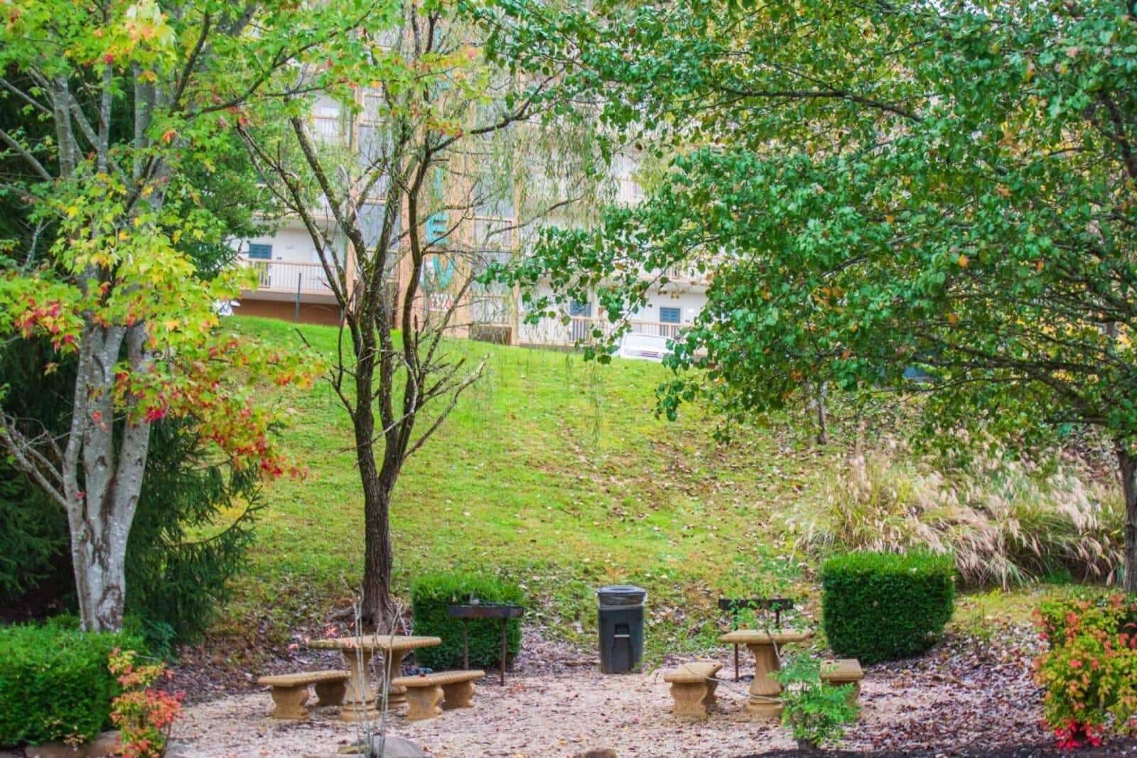 Ein Garten mit einer Bank, einem Mülleimer und einem kleinen Tisch.