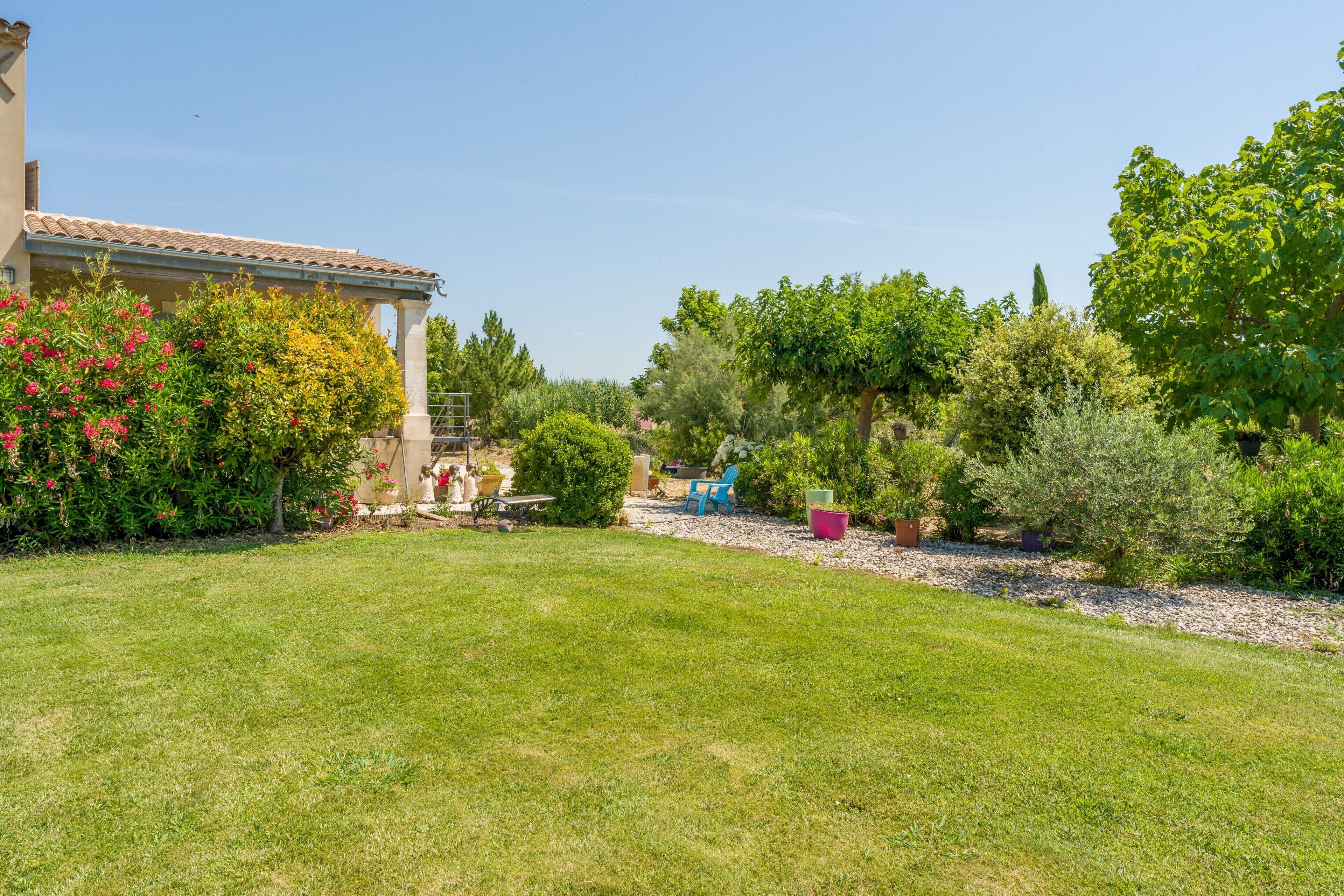 Ein gepflegter Garten mit einer Pergola, verschiedenen Sträuchern und blauem Himmel.