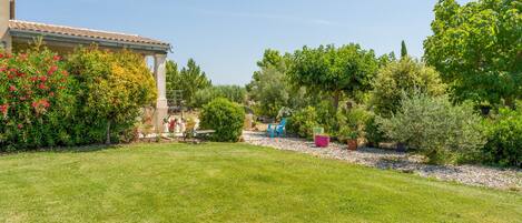 A well-maintained garden with a pergola, various shrubs, and a clear sky.