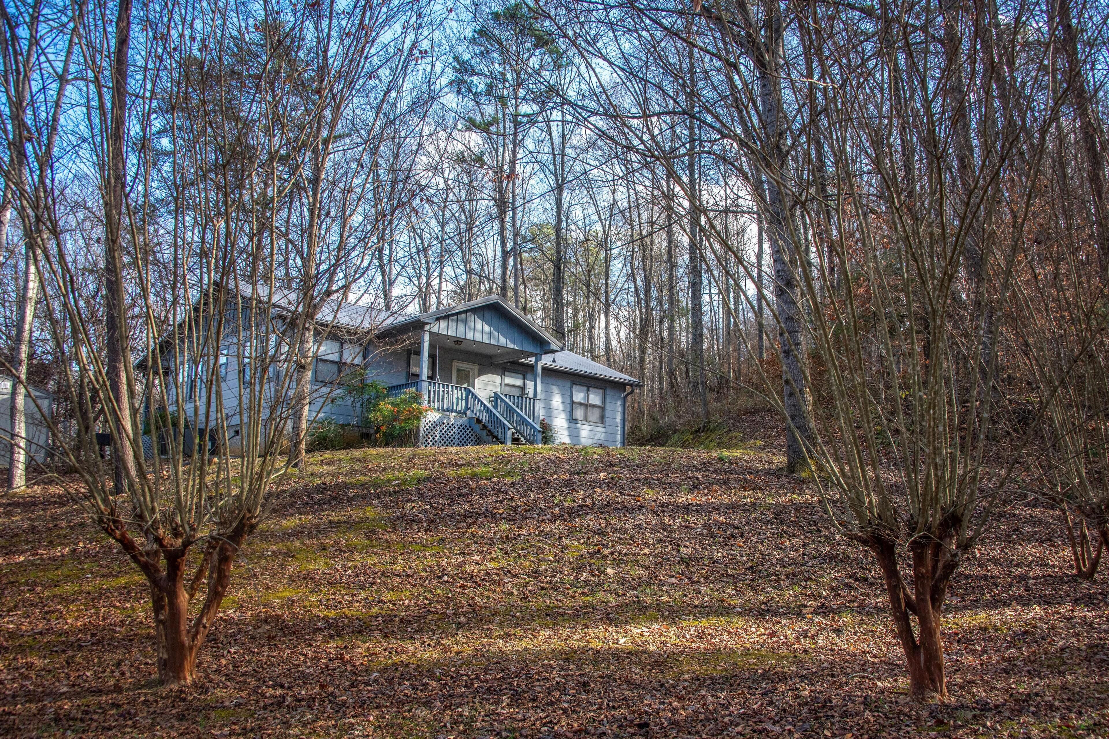 A house surrounded by leafless trees and a grassy hill.