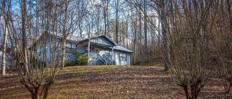 A house surrounded by leafless trees and a grassy hill.