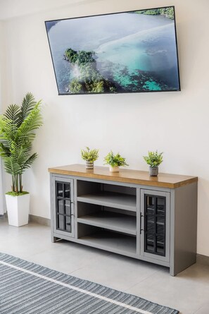 Ein modernes Wohnzimmer mit einem grauen Schrank, einem großen Flachbildfernseher an der Wand und einer Topfpflanze auf dem Schrank.
