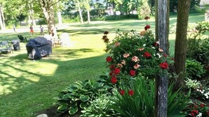 Un jardín con césped, una parrilla y diversas plantas.