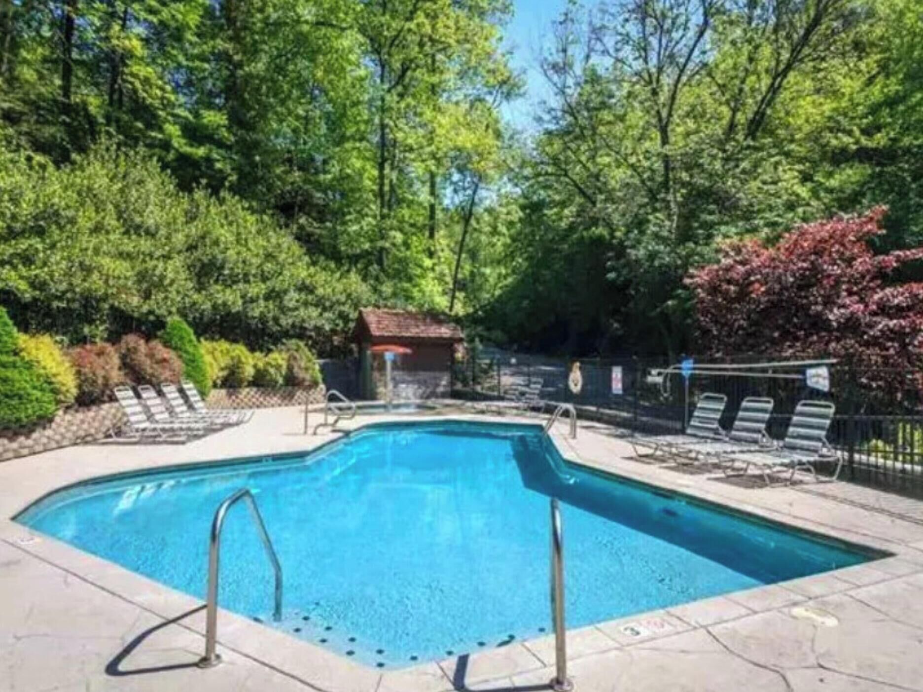 A swimming pool with lounge chairs, surrounded by trees and a small building.