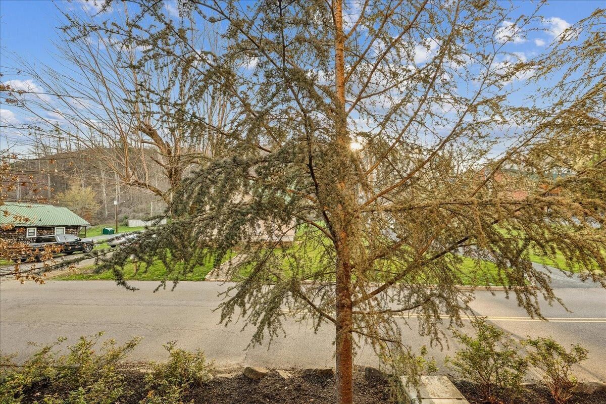 Une rue bordée d’arbres, avec un bâtiment en arrière-plan.