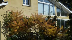 Un edifici de dues plantes amb grans finestres, un balcó i un jardí amb diverses plantes.