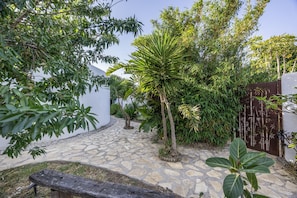 Ein Steinweg führt durch einen Garten mit verschiedenen Pflanzen und einer hölzernen Bank.