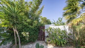 Un giardino con pavimentazione in pietra, piante tropicali e un cancello.