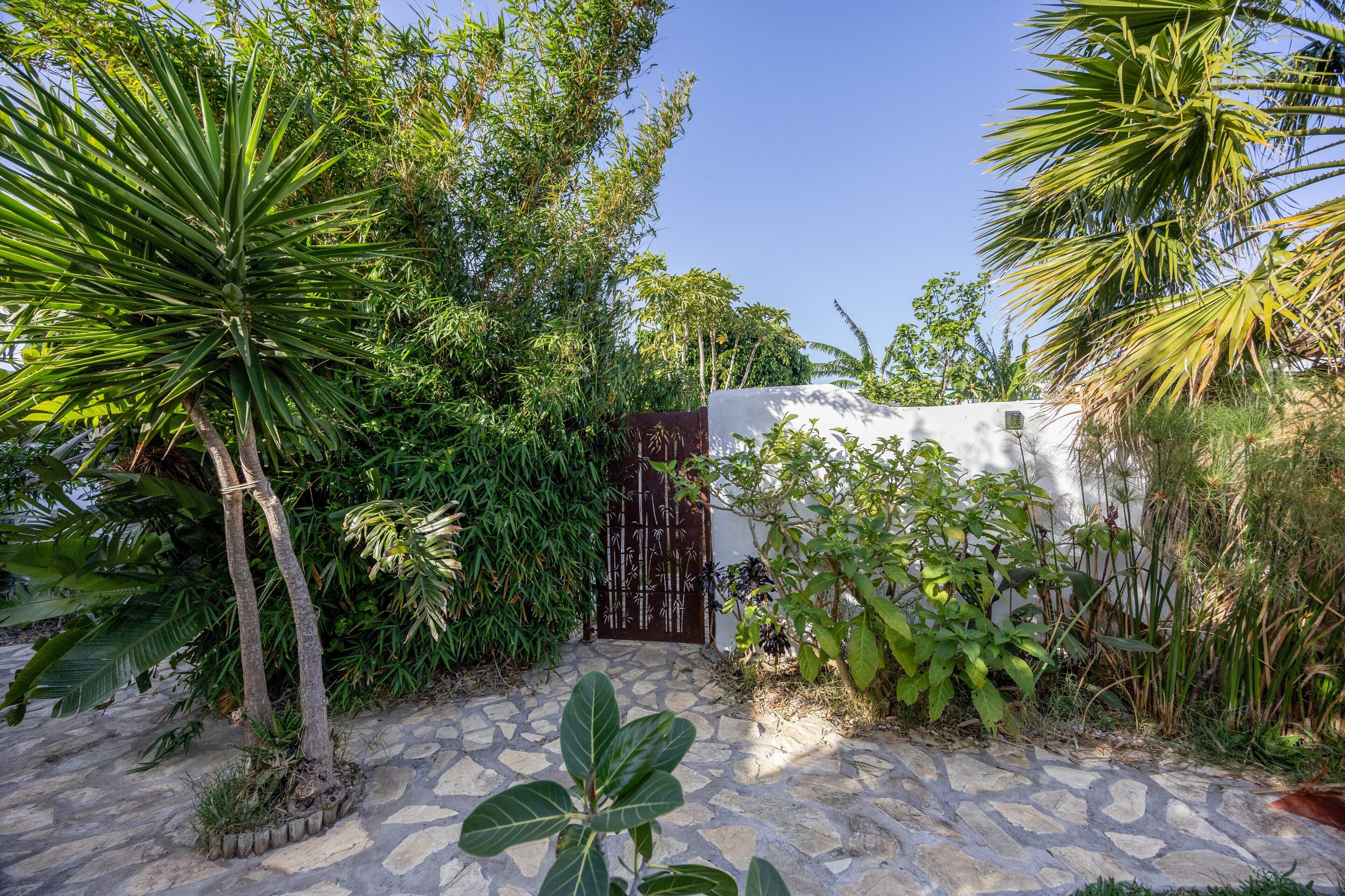 Un jardín con un sendero de piedra, palmeras y una puerta.