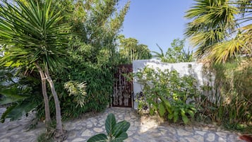 Un jardín con un sendero de piedra, palmeras y una puerta.