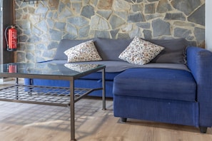 Ein Zimmer mit einer Steinswand, einem blauen Sofa mit floralen Kissen, einem Glastisch und einem Feuerlöscher.
