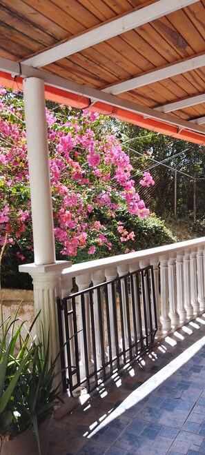 Terraza o patio