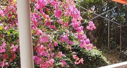 Quaint 2-bedroom house in Los Teques perfect for your getaway