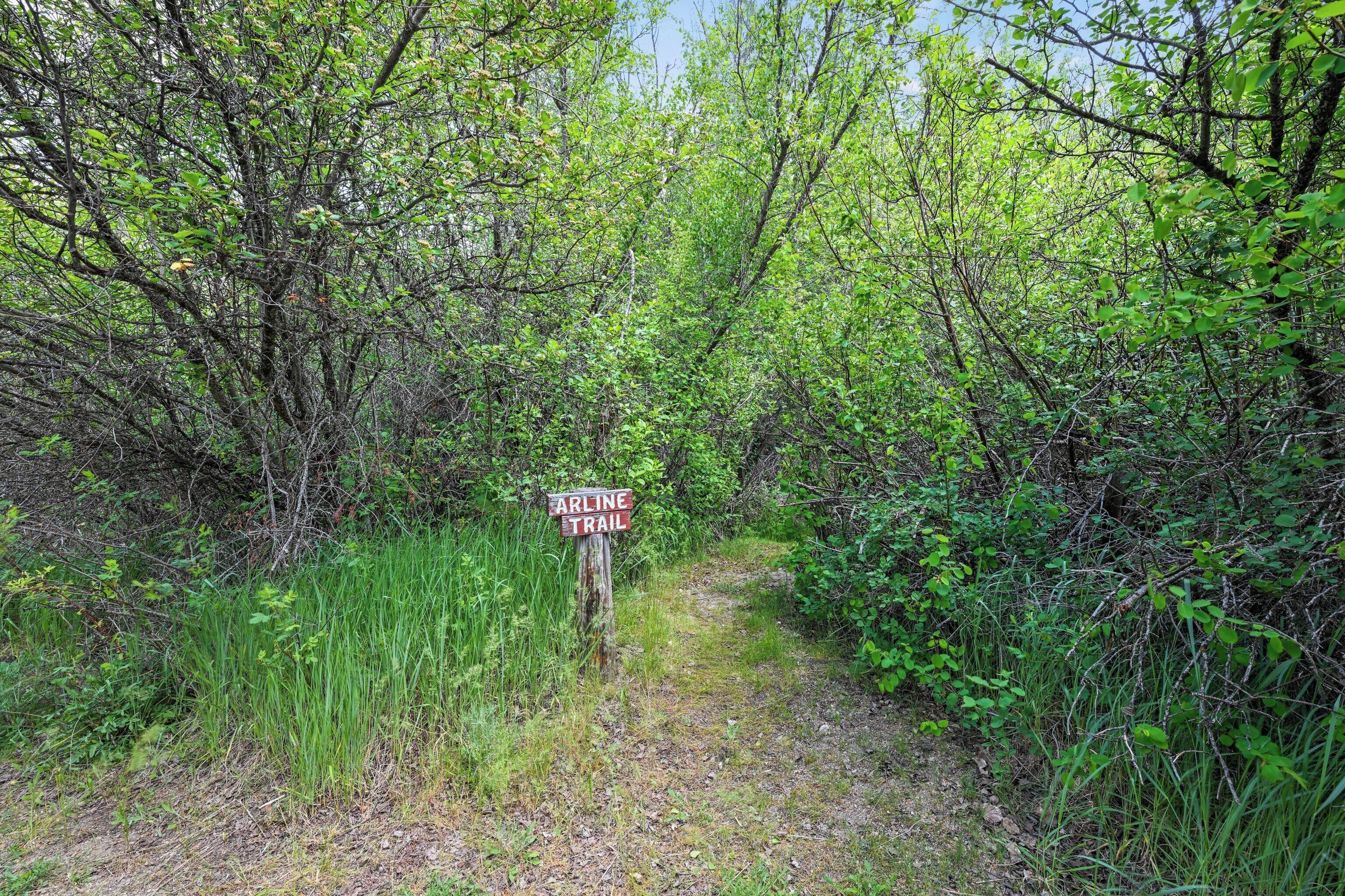 A narrow trail with a sign indicating the Arline Trail.