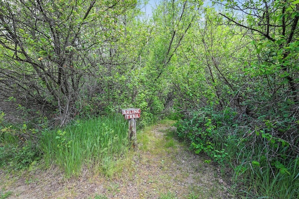 Un sendero estrecho con un cartel que indica el sendero Arline.