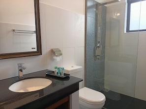 A bathroom with a sink, mirror, toilet, and glass shower enclosure. - Idyllic Vista - Kandy (Kandy)