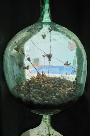 A clear glass enclosure with a reflective interior, containing a small arrangement of pebbles and dried plants.