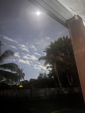 A clear sky with scattered clouds and palm trees. - Spacious 4 bedroom house, 15 mins from Beach, FLL Airport & Hardrock (Plantation)