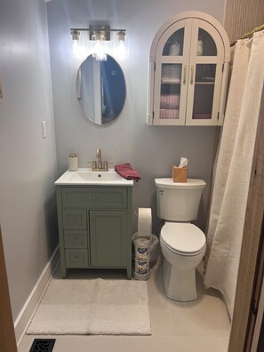 Bathroom - Cozy 2-bedroom house in beautiful Southern Albemarle close to numerous vineyards (Scottsville)