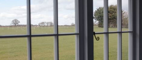 A window with a view of a grassy field and trees.