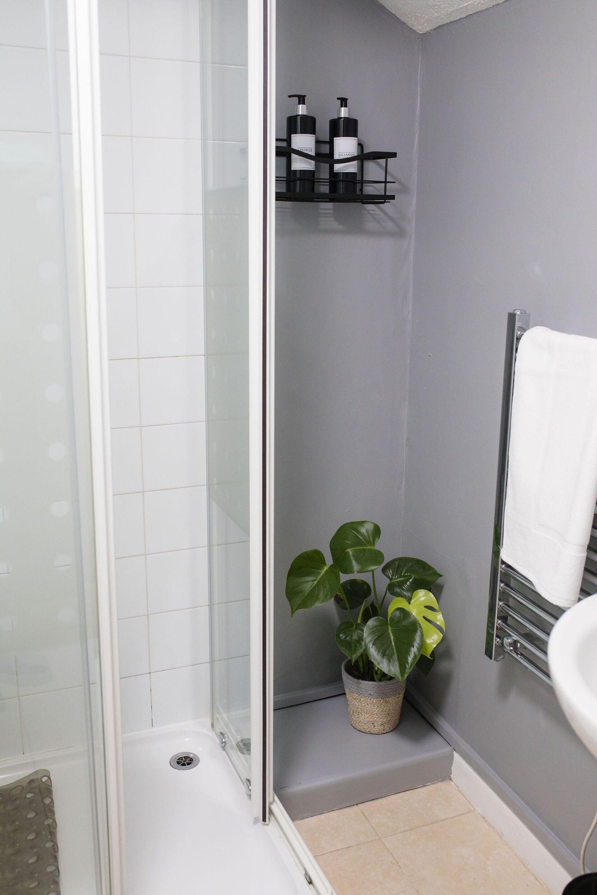 A bathroom with a glass shower enclosure, a potted plant, a white sink, and a towel rack.