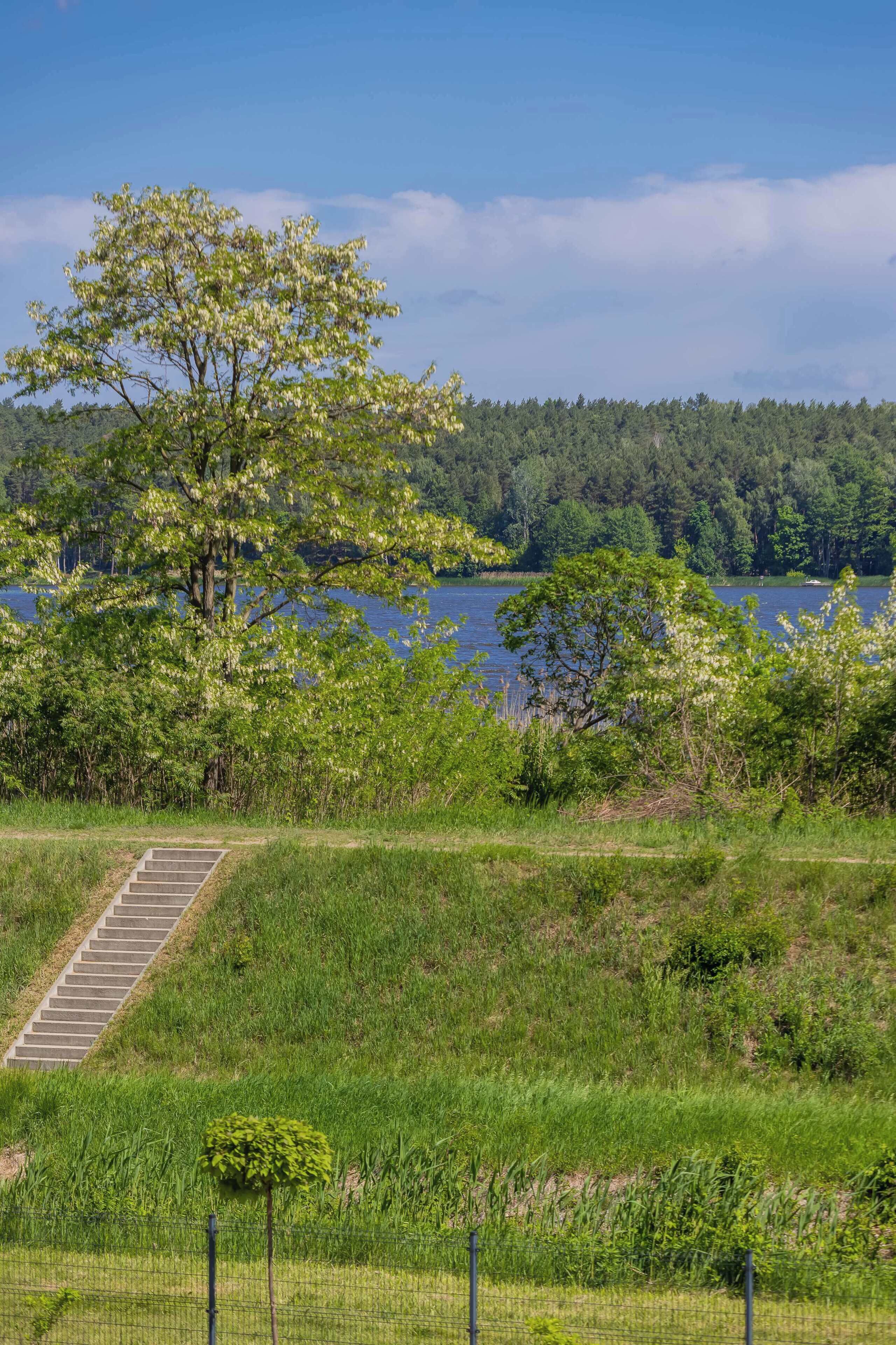 A natural landscape with a tree, grassy area, and a body of water.