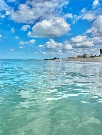 Venice Getaway Heated Pool • Gulf Beaches • Shark Teeth