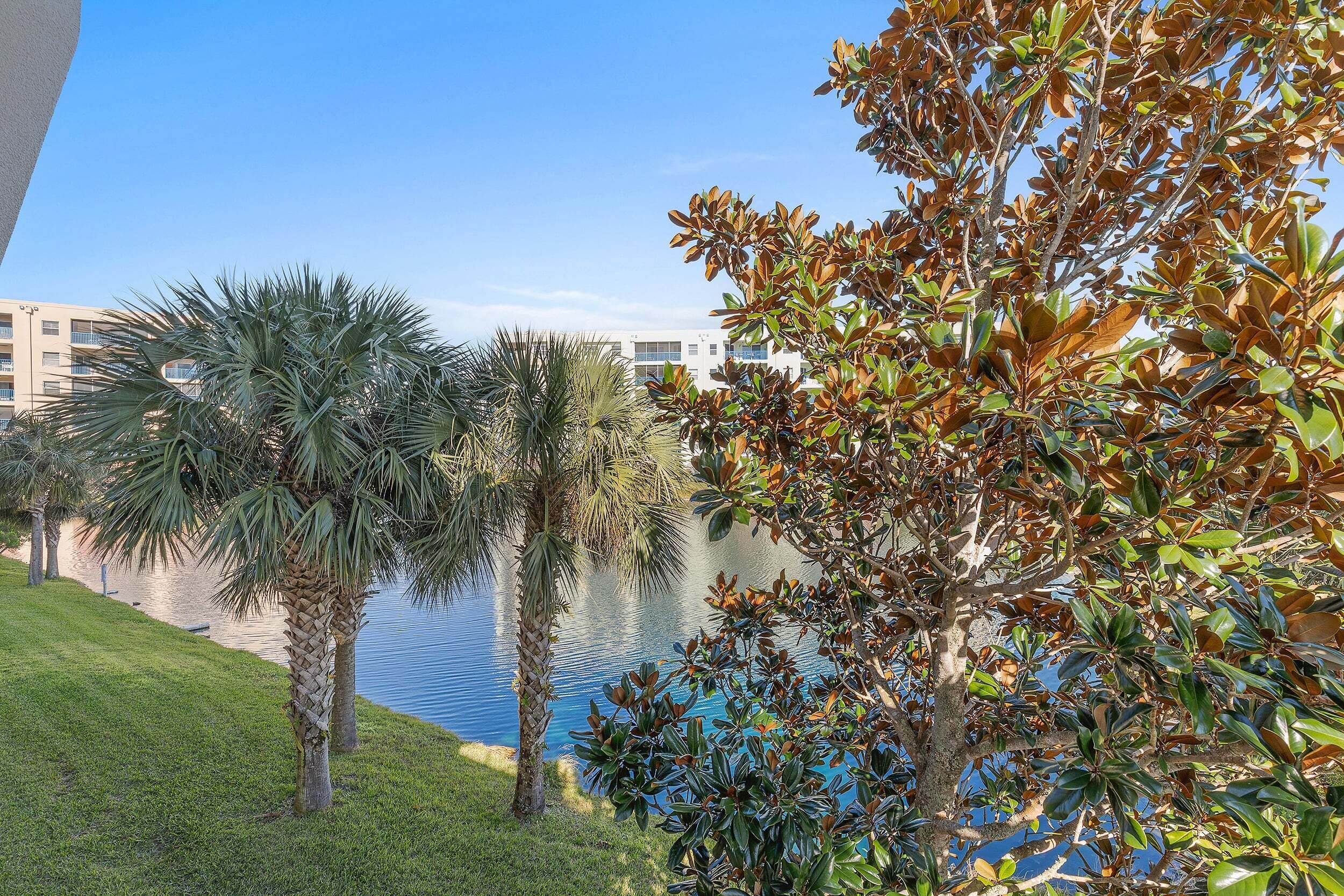A view of a building with a water body in the background, surrounded by palm trees and other greenery.