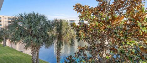 A view of a building with a water body in the background, surrounded by palm trees and other greenery.