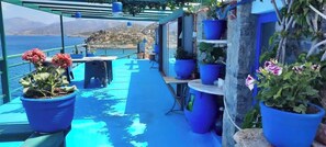 Eine Terrasse mit Topfpflanzen, einem Tisch und Blick aufs Meer.