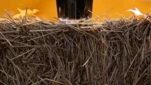 A glass of beer with a logo on it, placed on a straw surface. - Jimmy OConnors Windham Mountain Inn (Windham)