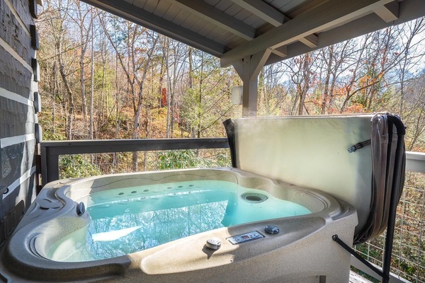 House, 1 King Bed with Sofa bed (Bear Necessity) | Outdoor spa tub
