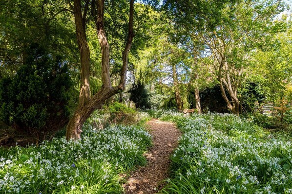 Un sendero arbolado con flores blancas y árboles.