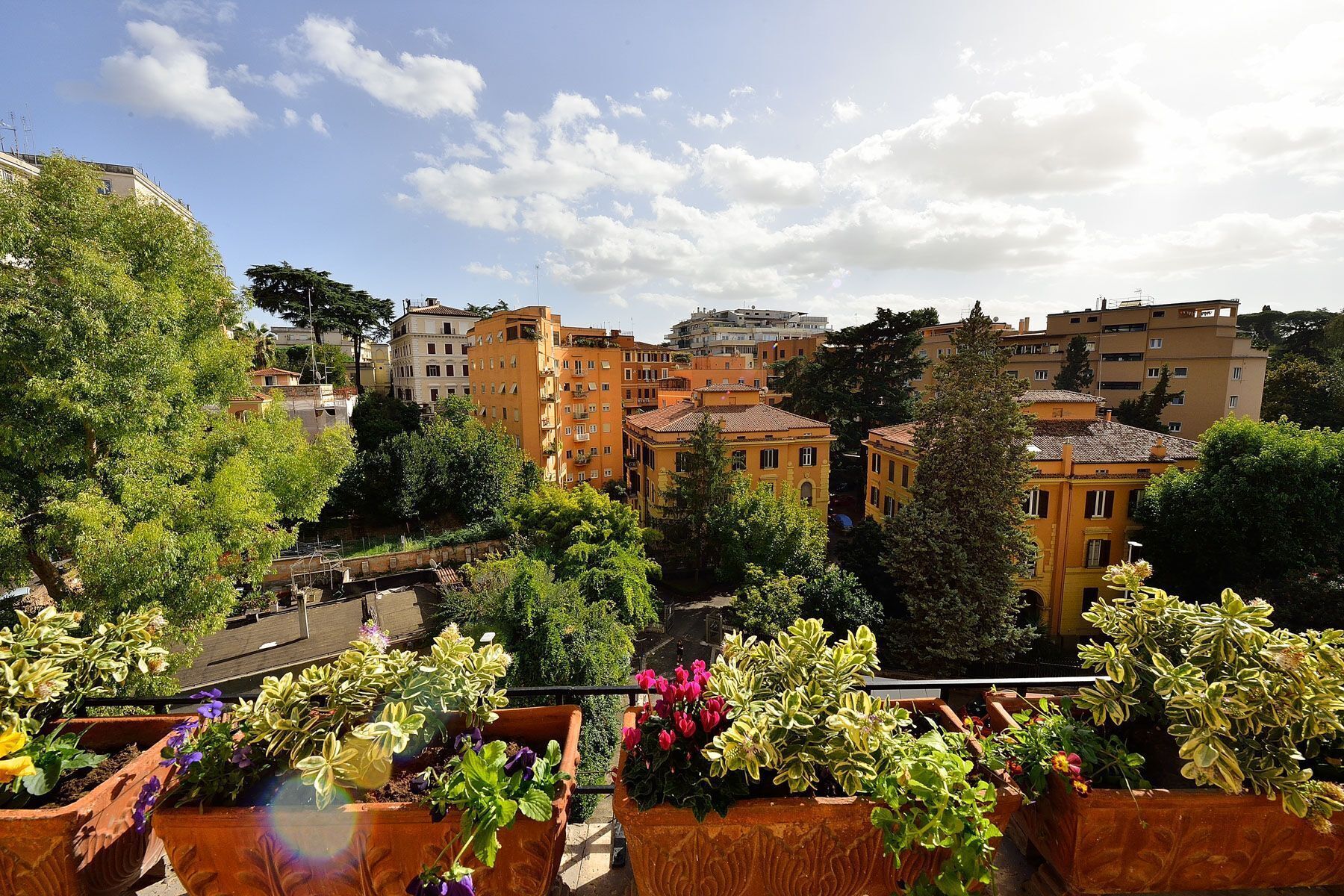 A residential area with terraced houses, a clear sky, and a variety of potted plants.