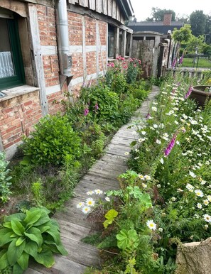 Property grounds - Vrbo Property (Molbergen)