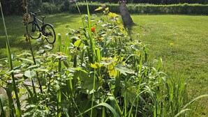 Ein Garten mit einem Fahrrad, einem Vogelhaus und einer Hecke.