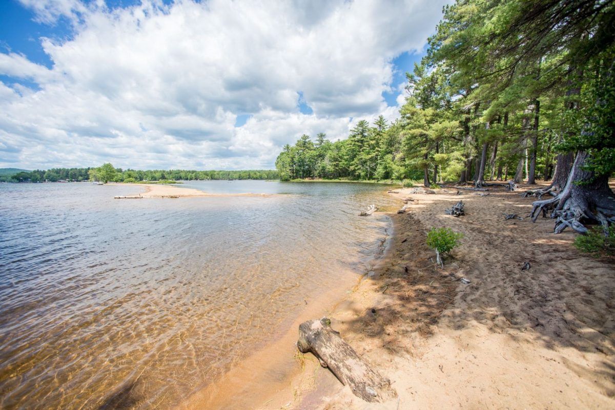 A lakeside beach with clear water, sandy shore, and dense trees.