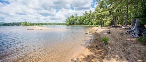 A lakeside beach with clear water, sandy shore, and dense trees.
