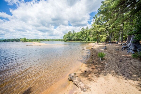 A lakeside beach with clear water, sandy shore, and dense trees.