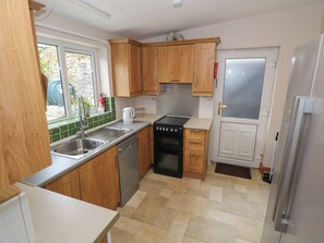 A compact kitchen with wooden cabinets, a stainless steel sink, a dishwasher, a stove, and a refrigerator. - Tí Maolla (Hollymount)