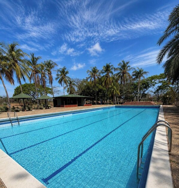 A clear blue swimming pool surrounded by palm trees and a covered seating area.