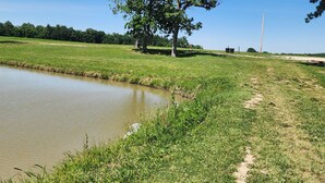 A rural landscape with a pond, grassy field, and a large tree. - BEAUTIFUL LAKE SHELBYVILLE CAMPING SITE ALONG SIDE STOCKED FISHING PONDS SITE#1 (LAKEWOOD)