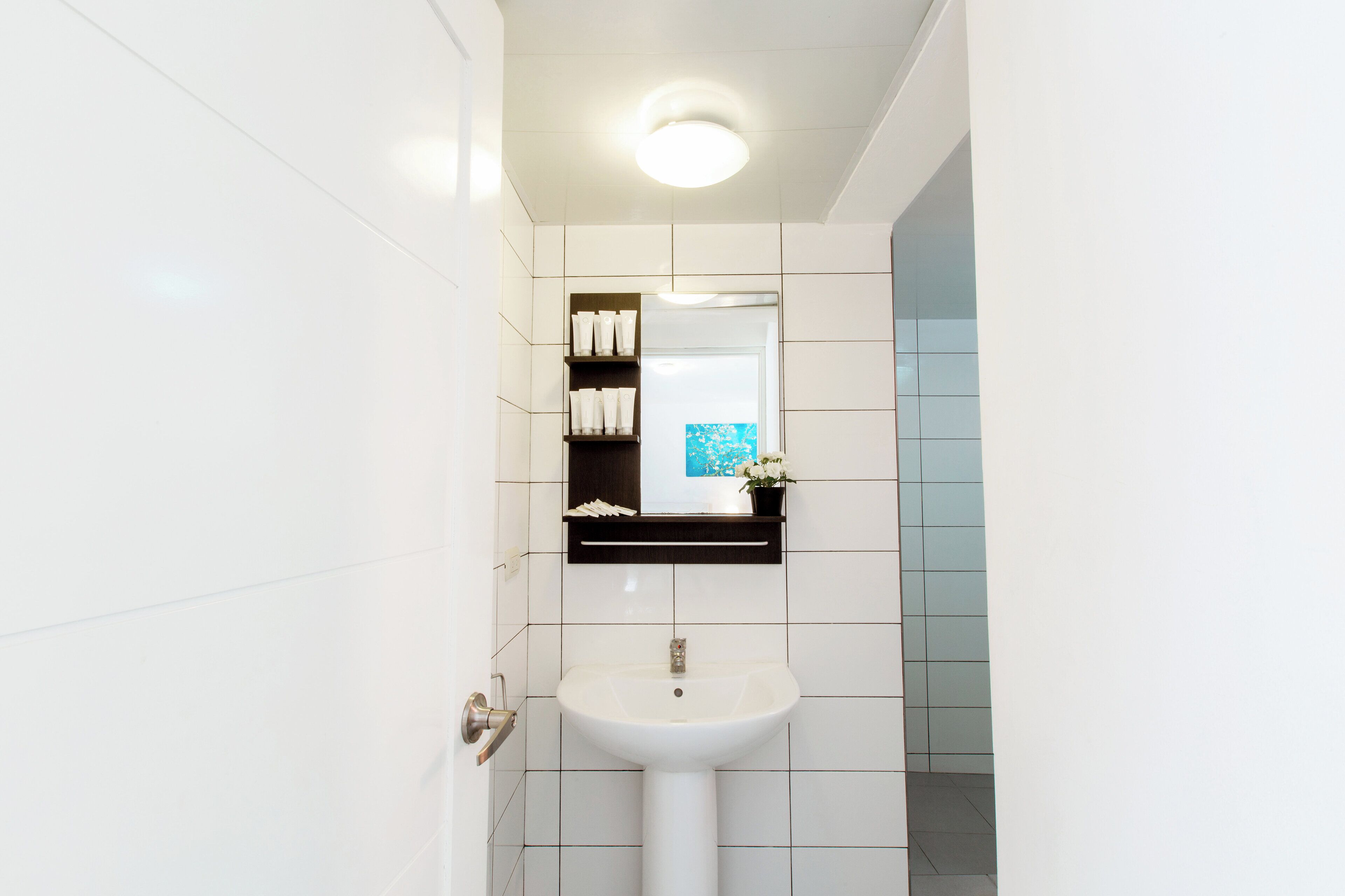 A bathroom with a white sink, a mirror above it, and a shelf with toiletries.
