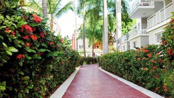 Taman
