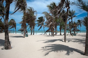 Ein Strand mit Palmen und blauem Himmel.